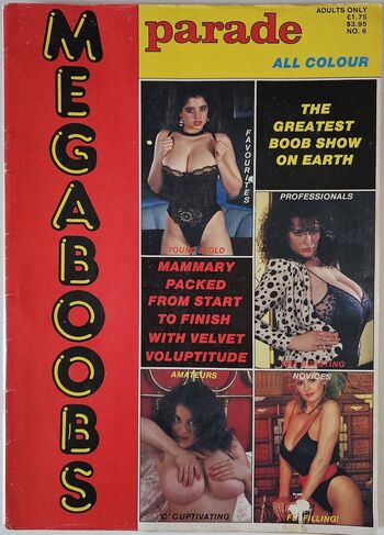 1980'S & Early 90'S Page 3 Girls