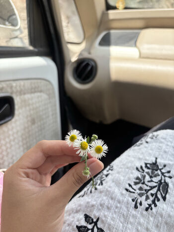 Full leaked Aditiikarwa private onlyfans photo