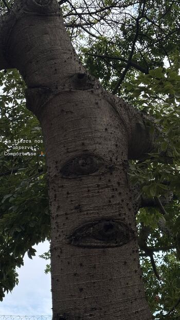 Full leaked Afrika sweet afri sweet africa page private onlyfans photo