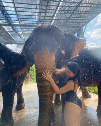 Full leaked Aila nerve private onlyfans photo