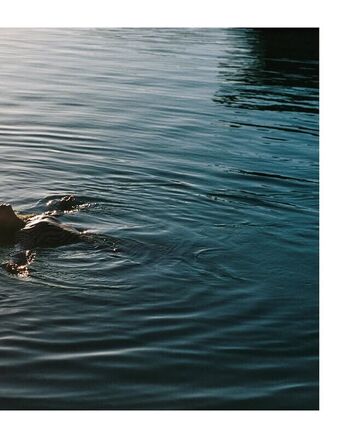 Full leaked Aliana king page private onlyfans photo