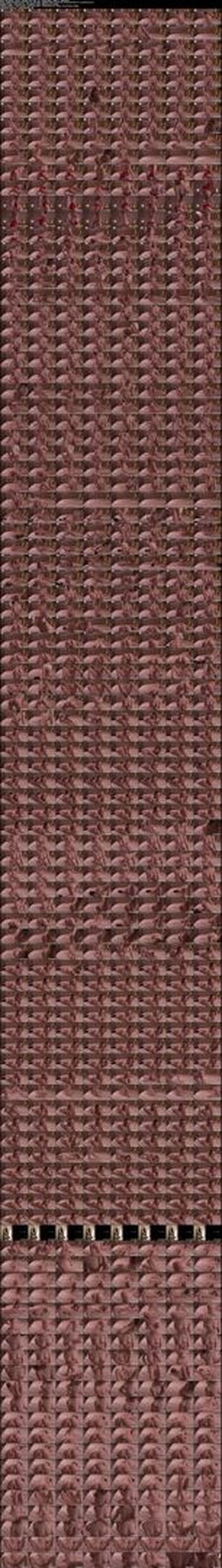 Full leaked Alissa wxw private onlyfans photo