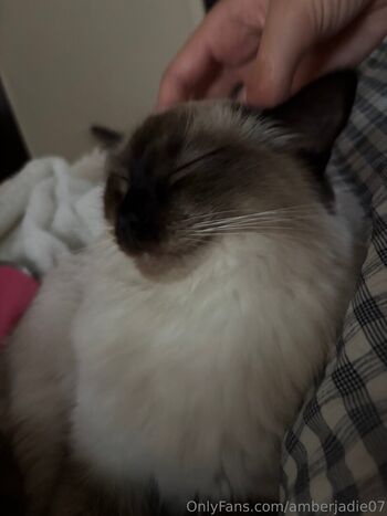 Full leaked Ambsjadie private onlyfans photo