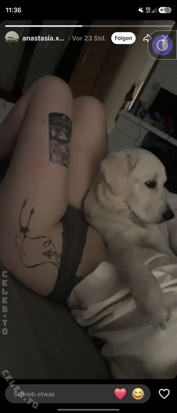 Anastasia.xpz