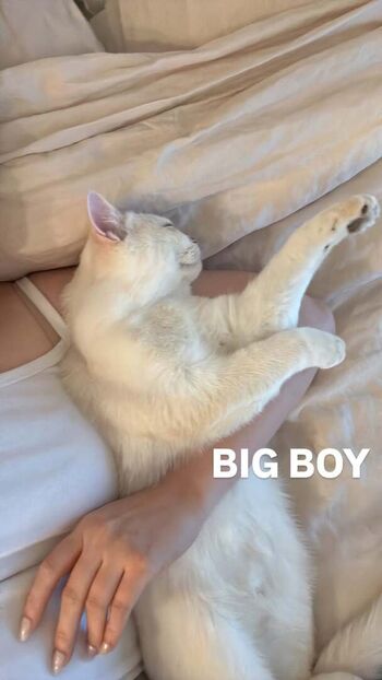 Full leaked Angelskimi private onlyfans photo