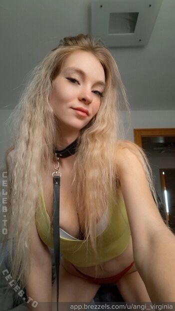 angi_virginia