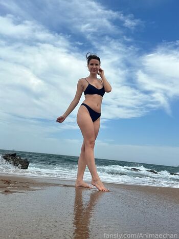 Animaechan