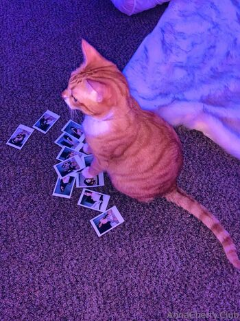 Full leaked Annacherrylive private onlyfans photo