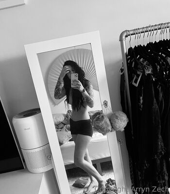 Arryn Zech