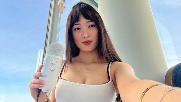 Asmr Emco