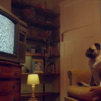 Full leaked Benefit monkey page private onlyfans photo