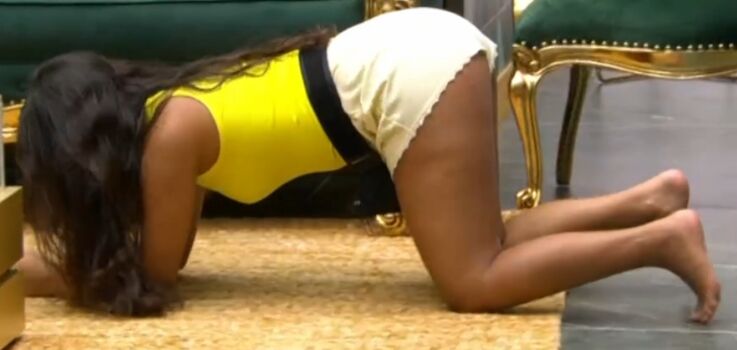 Big Brother Brasil 26