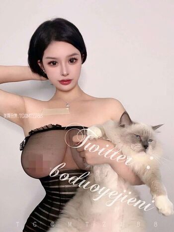 Boduoyejieni 妮妮子