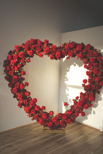 Full leaked Boudoir page private onlyfans photo