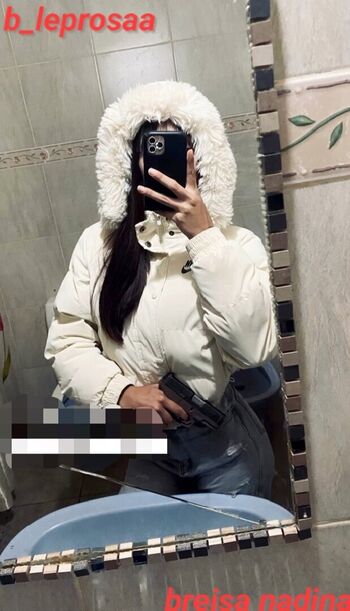 _breisa