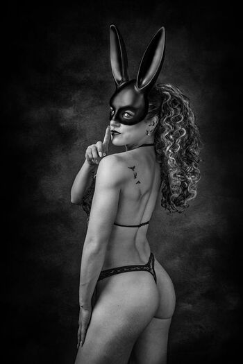 Bunny_o
