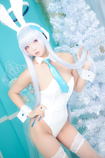 Bunnygirl Mega