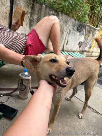 Full leaked Cee cee rose page private onlyfans photo