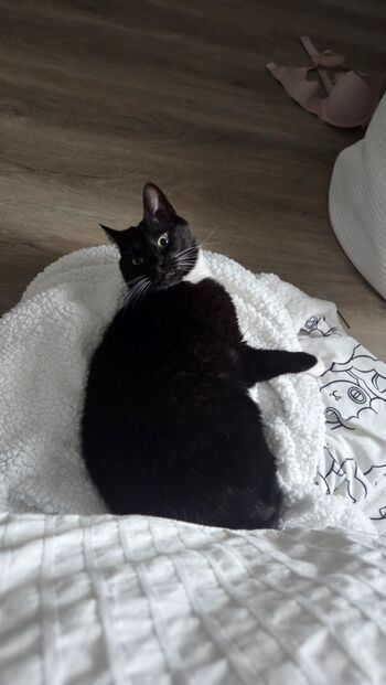 Full leaked Celebi cos page private onlyfans photo