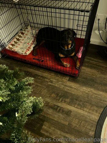 Full leaked Chanel anne private onlyfans photo