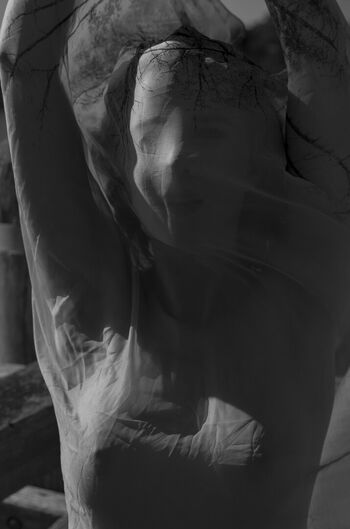 Full leaked Charli r holland private onlyfans photo