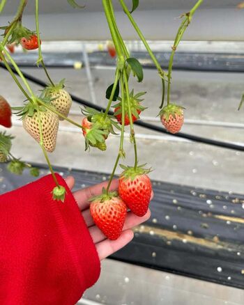 Full leaked Cienna abara private onlyfans photo