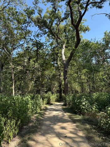 Full leaked Cosmic private onlyfans photo