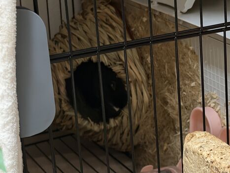 Full leaked Dahnikz private onlyfans photo