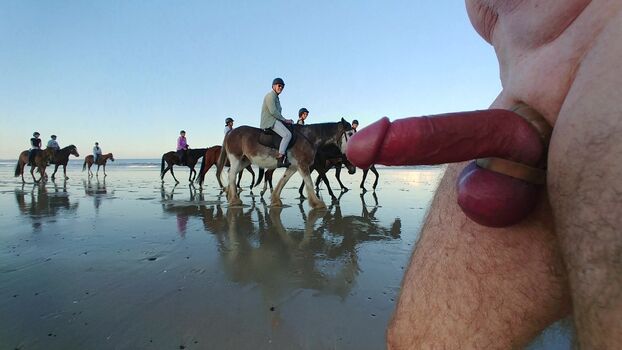 Dick Flash