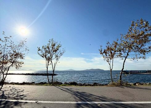 Full leaked Didomido private onlyfans photo