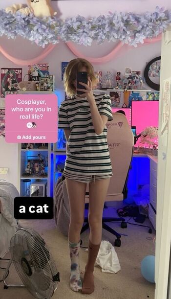 Digitalkatt
