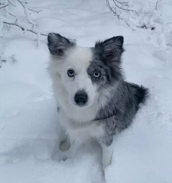 Full leaked Dilaraa page private onlyfans photo