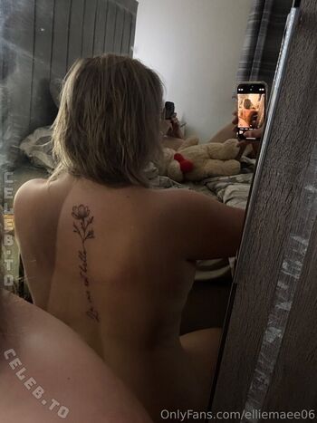 elliemae_vip