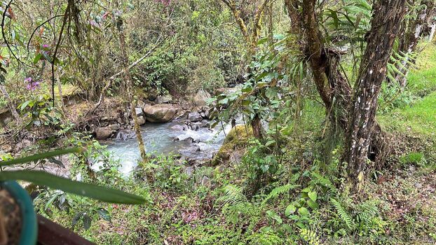 Full leaked Essence emma private onlyfans photo