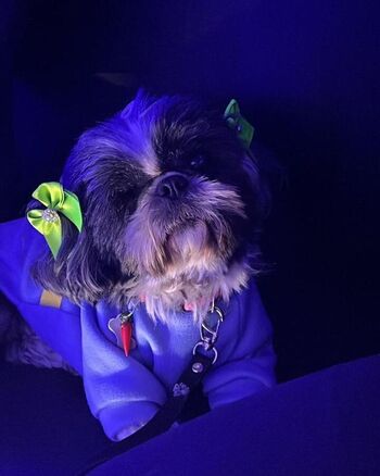 Full leaked Estela private onlyfans photo