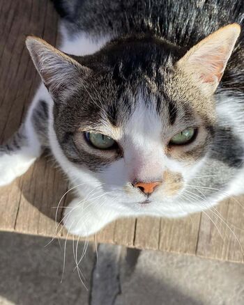 Full leaked Estela private onlyfans photo