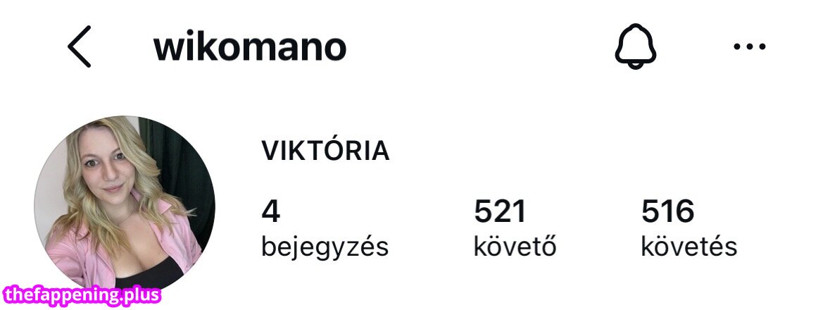 Fejér Megyei