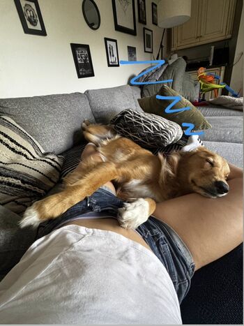 Full leaked Fitlittledean private onlyfans photo