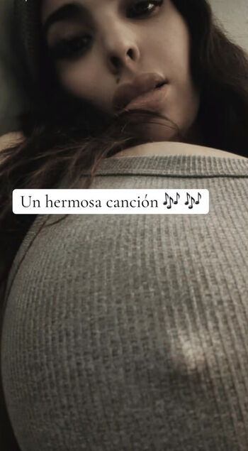 girasol..s