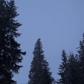 Full leaked Girls huntersbeauty private onlyfans photo