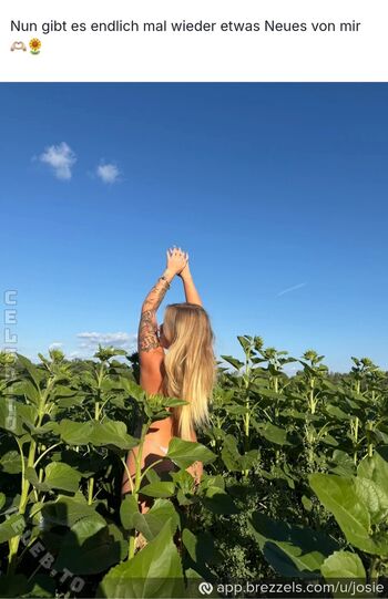 Full leaked Haifischnnikez private onlyfans photo