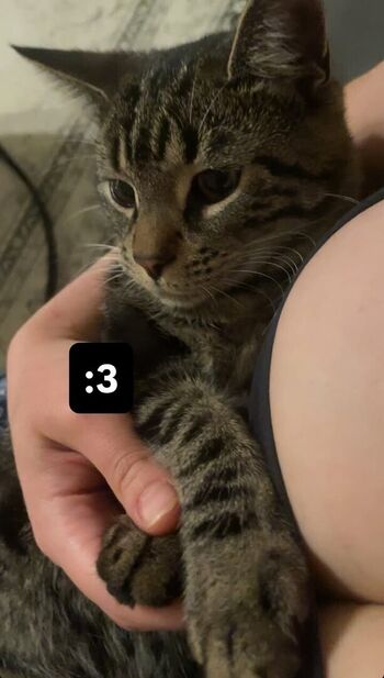 Full leaked Halola private onlyfans photo