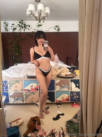 Harriet Sugarcookie