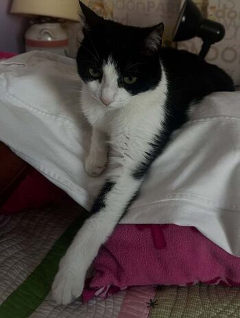 Full leaked Hilda kertalli private onlyfans photo