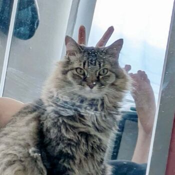 Full leaked Imitationtina private onlyfans photo