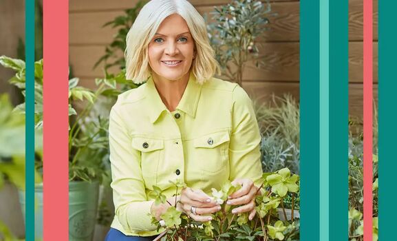 Full leaked Jackie kabler private onlyfans photo