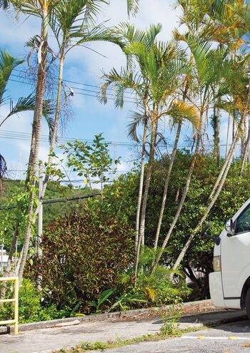 Full leaked Jav actress gravure page private onlyfans photo