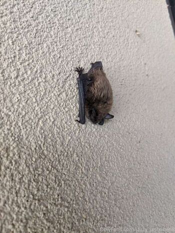 Full leaked Jazzy jasmine private onlyfans photo