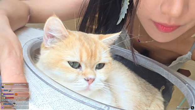 jinnytty