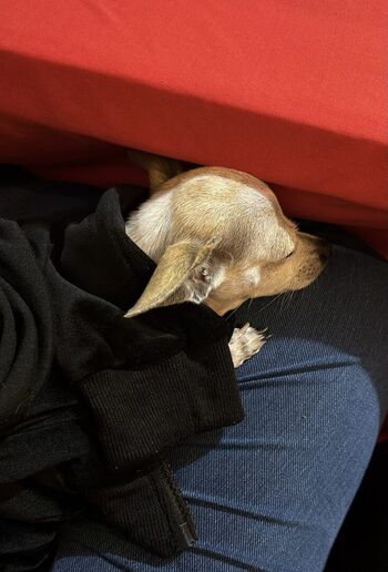 Full leaked Julianne darlen private onlyfans photo